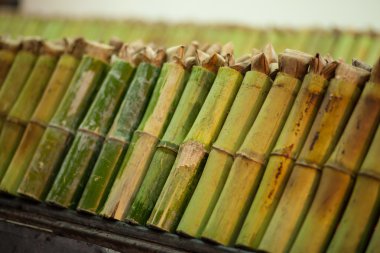 Bambu eklemlerinde kızartılmış glutinous pilavı.