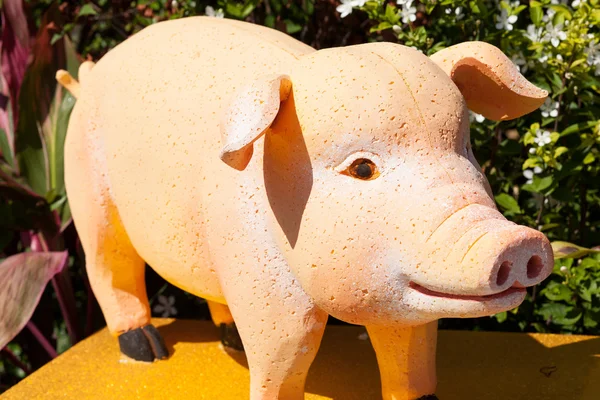 Pig zodiac. — Stockfoto