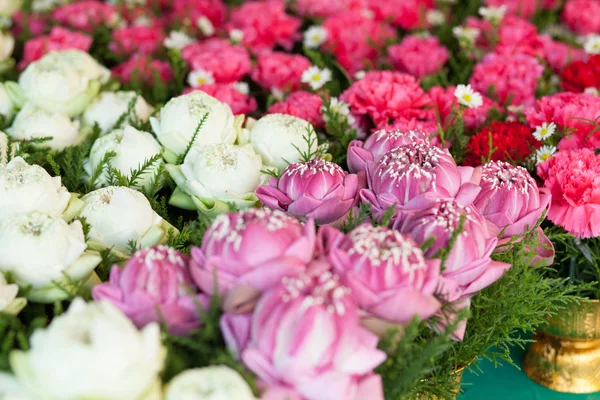 Bloemen in verschillende kleuren. — Stockfoto