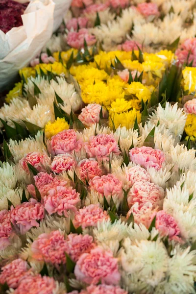 Bloemen in verschillende kleuren. — Stockfoto