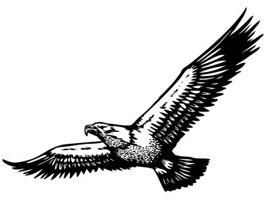 Flying eagle clipart