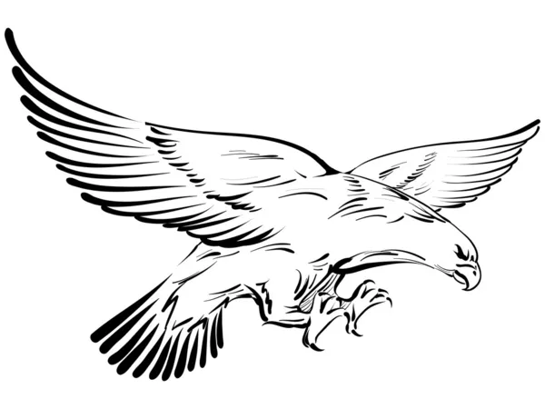 Doodle de águia — Vetor de Stock