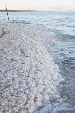 Salt texture in Dead Sea beach clipart