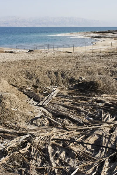 死海海滩 — 图库照片