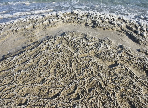 Salt textur i döda havet beach — Stockfoto