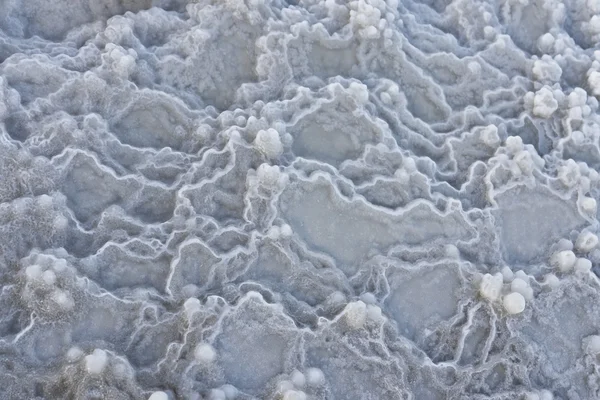 在死海海滩盐纹理 — 图库照片