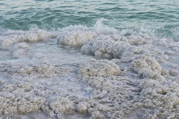 Textura de sal na praia do Mar Morto — Fotografia de Stock