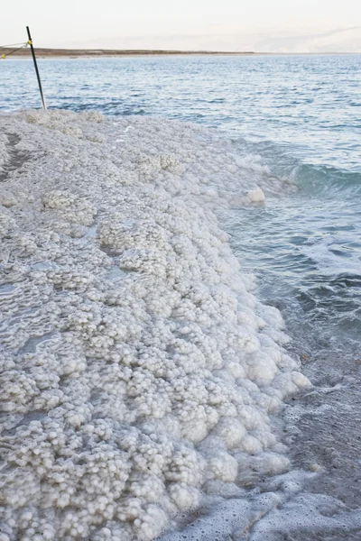 Zout textuur in de dode zee strand — Stockfoto