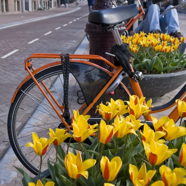 stock image Amsterdam