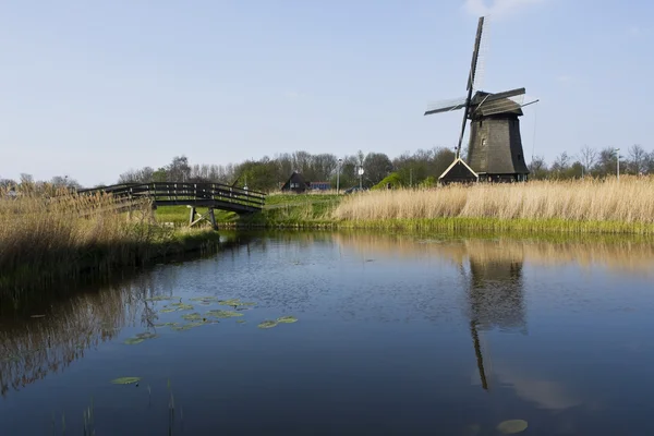 stock image Picturesque dutch countryside