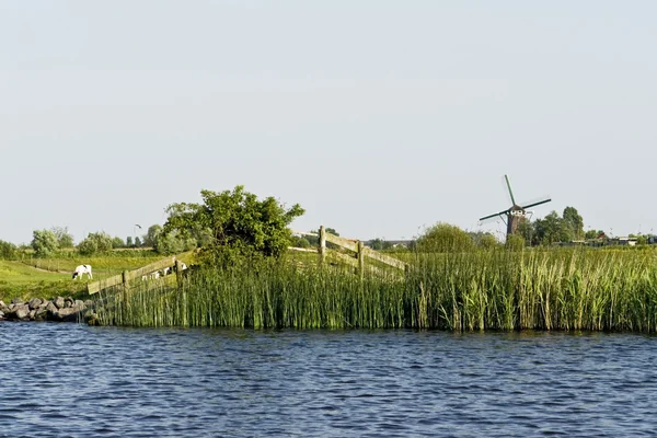 stock image Picturesque dutch countryside