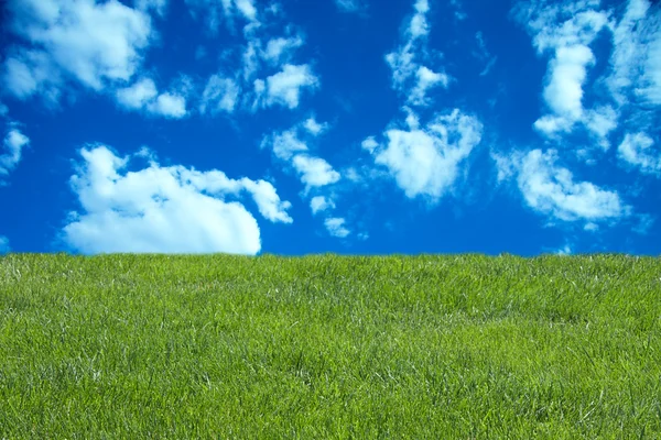 Blauer bewölkter Himmel und grünes Gras — Stockfoto