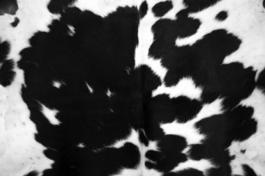 Black Cowhide clipart