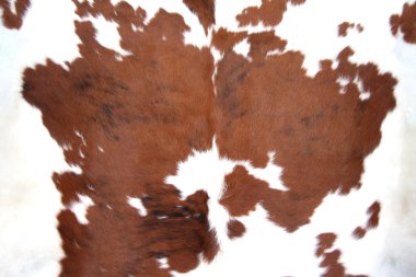 Brown Cowhide clipart