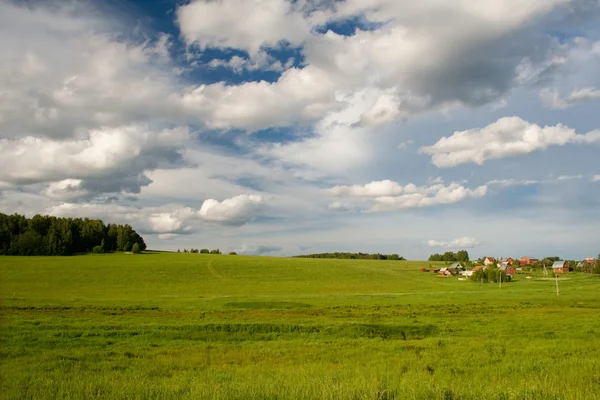 stock image Field and road