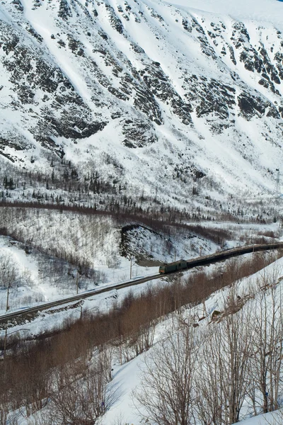 Vonat a hóban — Stock Fotó