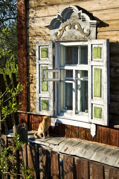 Кот на окне — стоковое фото