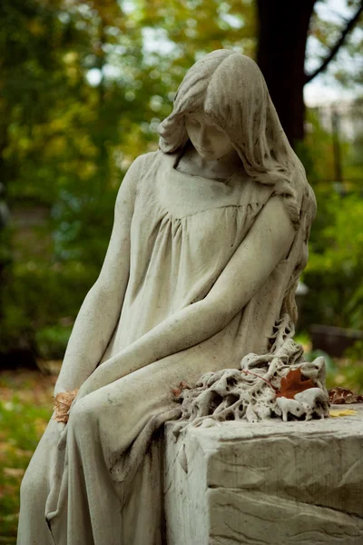 公墓的天使 — 图库照片