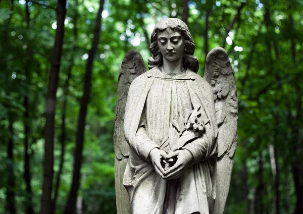 公墓的天使 — 图库照片