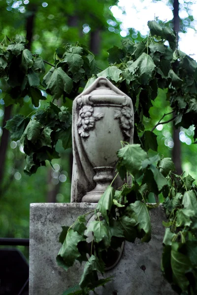 Hřbitovní anděl — Stock fotografie