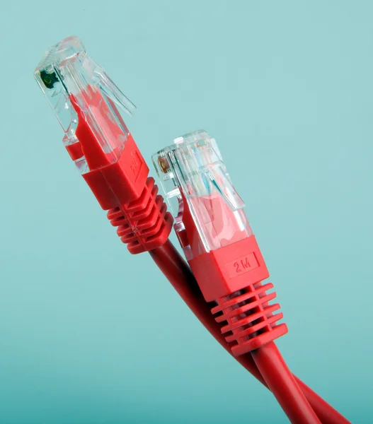 Ethernet hálózati kábelek — Stock Fotó