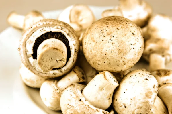 Cogumelo Comestível Especialmente Espécies Muito Cultivadas Agaricus Bisporus — Fotografia de Stock