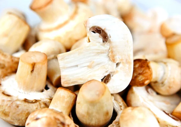 Съедобные грибы, особенно много культивируемых видов Агари — стоковое фото