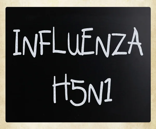Immagini del virus influenzale H5N1 — Foto Stock