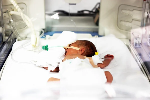 インキュベーター内の新生児 — ストック写真
