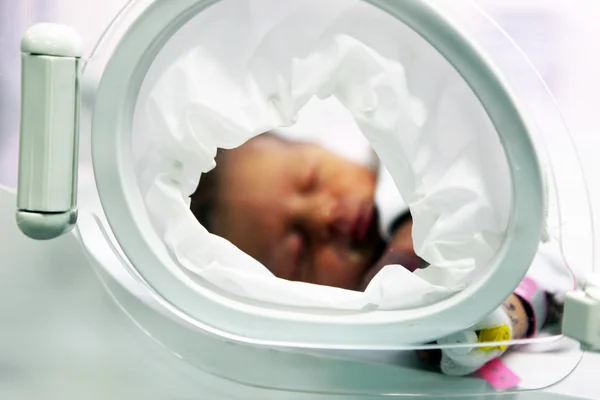 孵化器内的新生儿 — 图库照片
