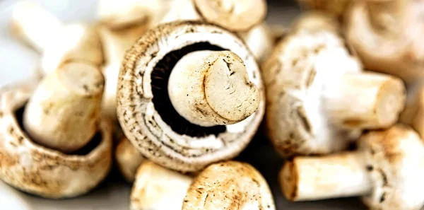 Een eetbare paddenstoel, met name de veel gecultiveerd soorten agari — Stockfoto