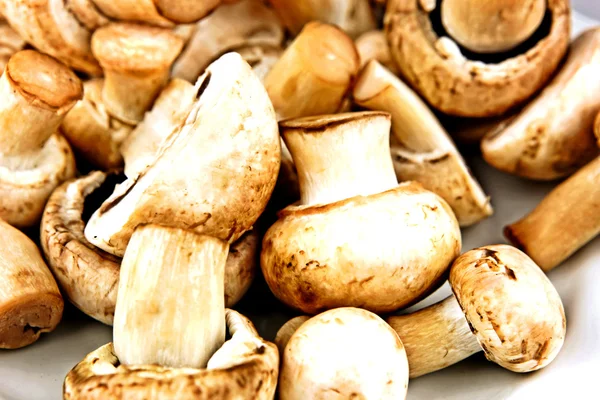 Um cogumelo comestível, especialmente as espécies muito cultivadas Agari — Fotografia de Stock