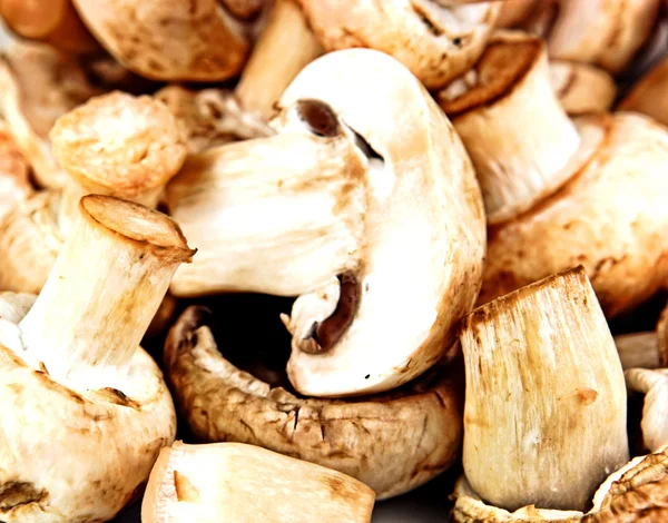 Їстівні гриби, особливо настільки культивується видів Agari — стокове фото