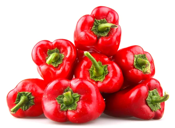 Röd chili paprika på vit bakgrund — Stockfoto