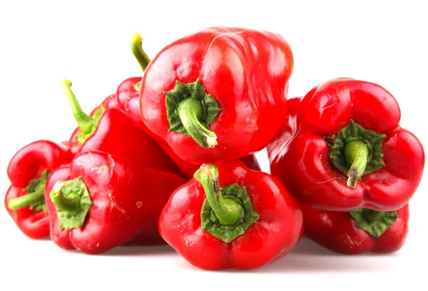 stock image Red chilli peppers on white background