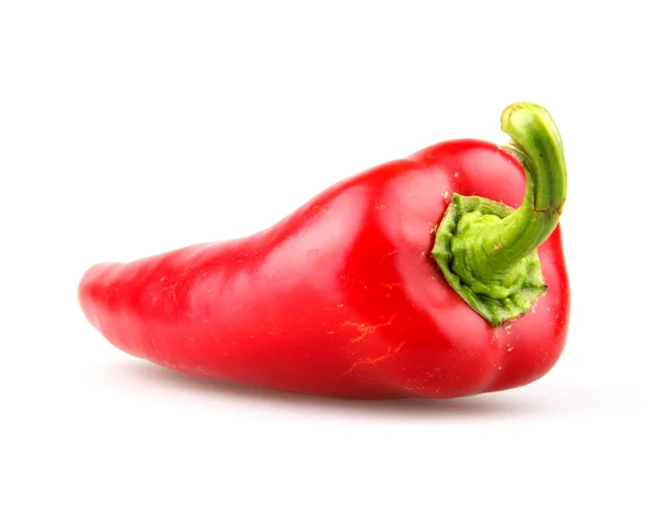 Stock image Red chilli peppers on white background