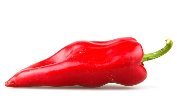Červené chilli papričky na bílém pozadí — Stock fotografie