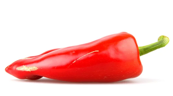 Stock image Red chilli peppers on white background