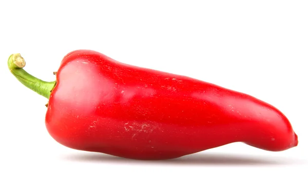 Pimentos de pimenta vermelha sobre fundo branco — Fotografia de Stock