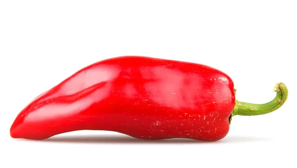 Перець червоного чилі на білому тлі — стокове фото