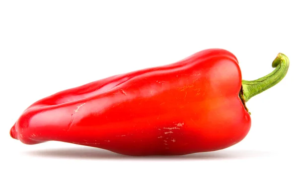 stock image Red chilli peppers on white background