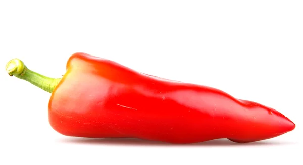 Перець червоного чилі на білому тлі — стокове фото