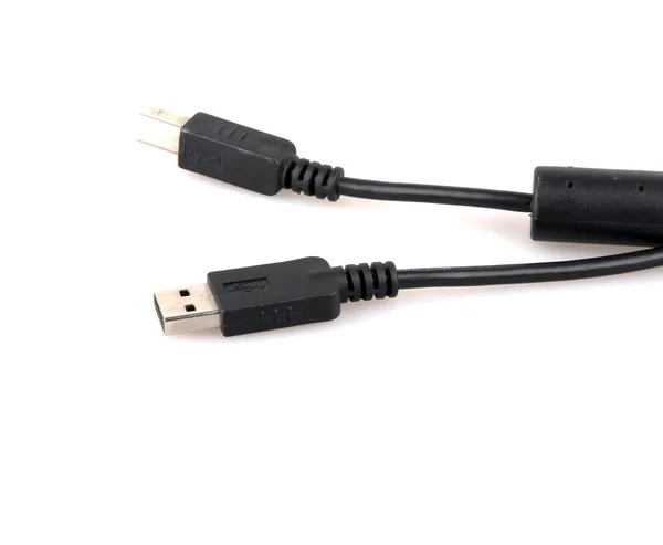 Cables de red Ethernet —  Fotos de Stock