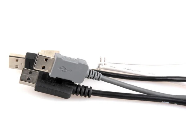 Cavi di rete Ethernet — Foto Stock