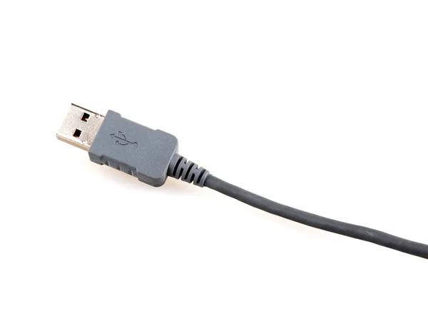Kable sieciowe Ethernet — Zdjęcie stockowe