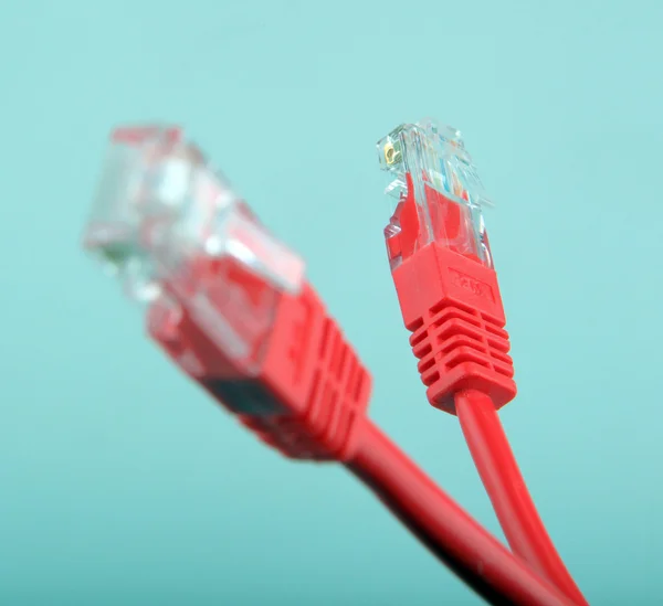 Ethernet hálózati kábelek — Stock Fotó