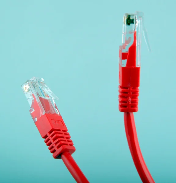 Cables de red Ethernet — Foto de Stock