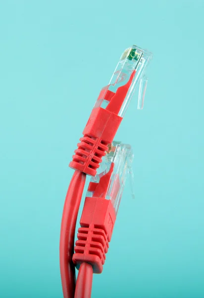 Kabely sítí Ethernet — Stock fotografie