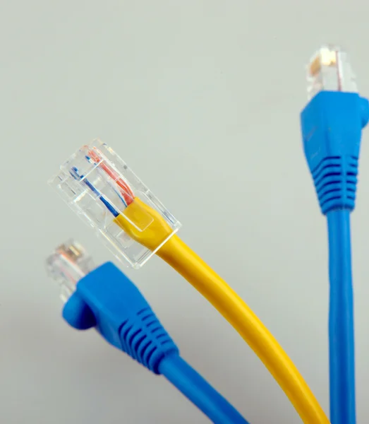 Cables de red Ethernet — Foto de Stock