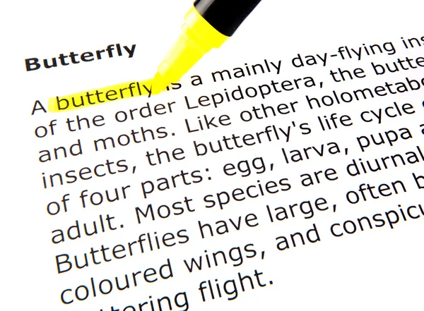 stock image Butterfly